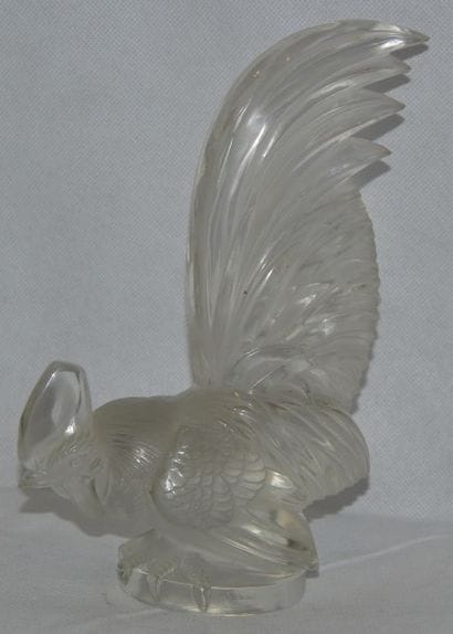 René LALIQUE (1860- 1945)
« Coq Nain »
Mascotte...