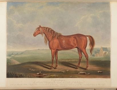 WELLINGTON and other great warrior
Album...