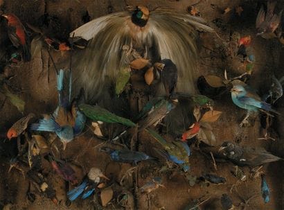 Anonyme (XIXe siècle)
Composition aux oiseaux...