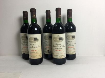 5 Blle Chateau PATACHE D'AUX (Haut Médoc)...