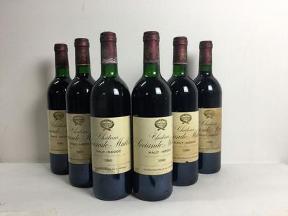 6 Blle Château SOCIANDO MALLET (Haut Médoc)...