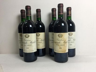 6 Blle Château SOCIANDO MALLET (Haut Médoc)...