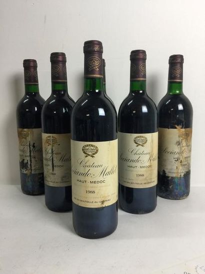 6 Blle Château SOCIANDO MALLET (Haut Médoc)...