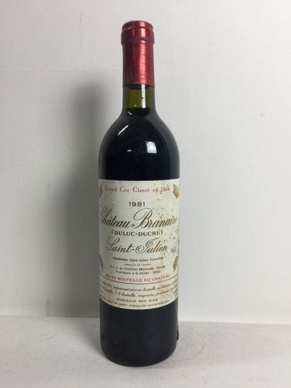 6 Blle Château BRANAIRE DUCRU (St Julien)...
