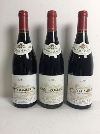 2 Blle GEVREY CHAMBERTIN (Bouchard Père &...