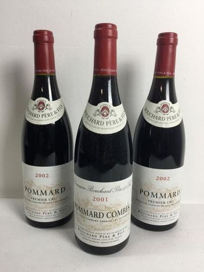 2 Blle POMMARD (Bouchard Père & Fils) 2002...