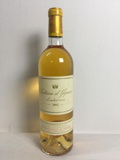1 Blle Château YQUEM 2002 - Belle