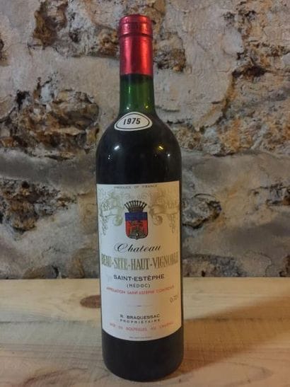 6 Blle Château BEAUSITE HAUT VIGNOBLE (St...
