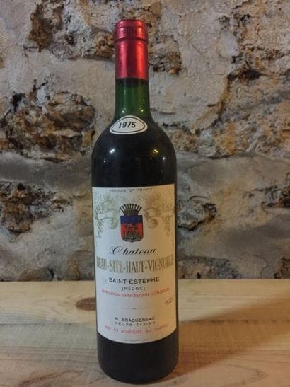 6 Blle Château BEAUSITE HAUT VIGNOBLE (St...
