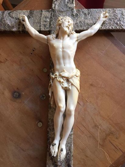 CHRIST en ivoire sculpté. XIXème siècle Haut...