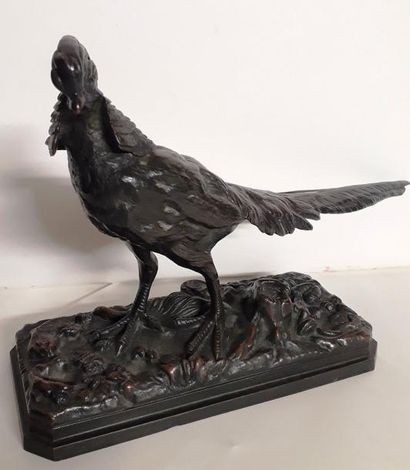 Henri Emile TRODOUX (XIXème) Faisan Bronze...