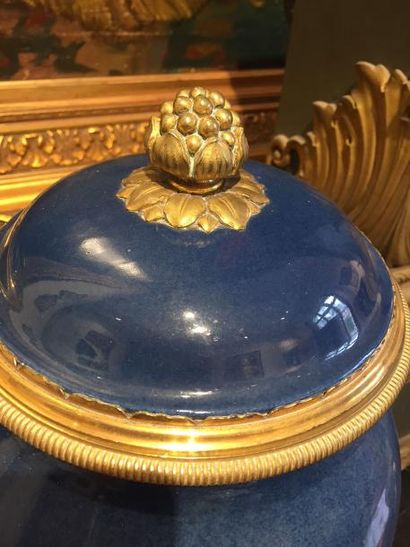CHINE (Dans le gout de)

Paire de pots couverts...