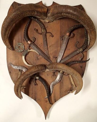 TROPHEE DE CHASSE à décor de cornes de bouquetins...