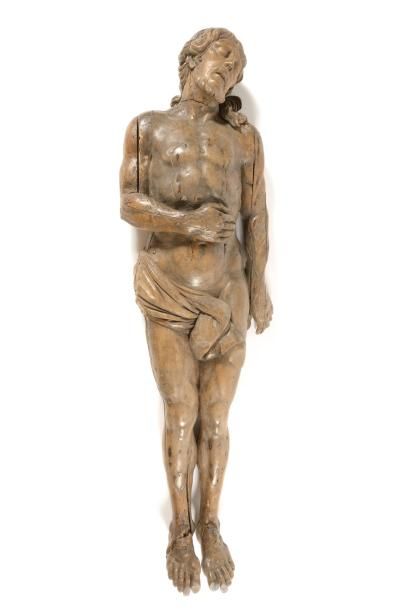 GRAND CHRIST mort en tilleul sculpté. Allongé,...