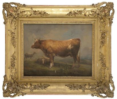 Alfred V. PONEY (XIXe siècle) Boeuf et moutons...