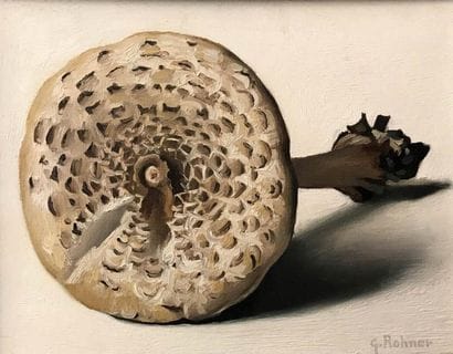 GEORGES RHONER (1913-2000) Champignon Huile...