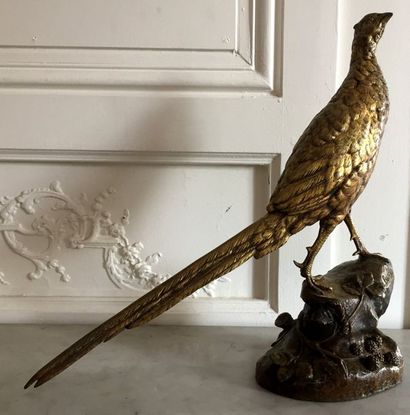 Léon BUREAU (1866-1906) Faisan Bronze à double...