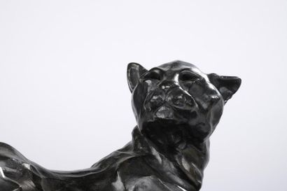 José Maria DAVID (1944-2015).
Panthère couchée.
Bronze...