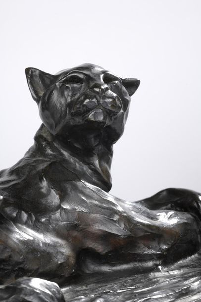José Maria DAVID (1944-2015).
Panthère couchée.
Bronze...