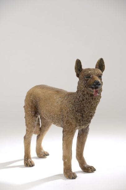 Berger malinois en faïence émaillée en polychromie...