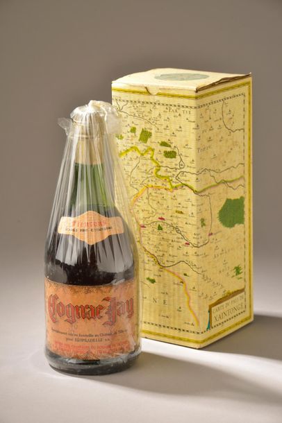 1 bouteille COGNAC 