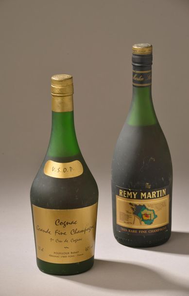 2 bouteilles COGNAC 