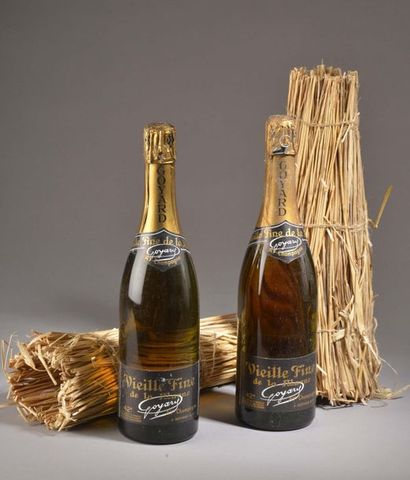 2 bouteilles VIEILLE FINE DE LA MARNE Goyard...