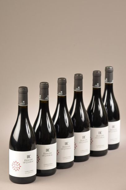 6 bouteilles LANGUEDOC 