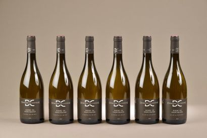 6 bouteilles LANGUEDOC 