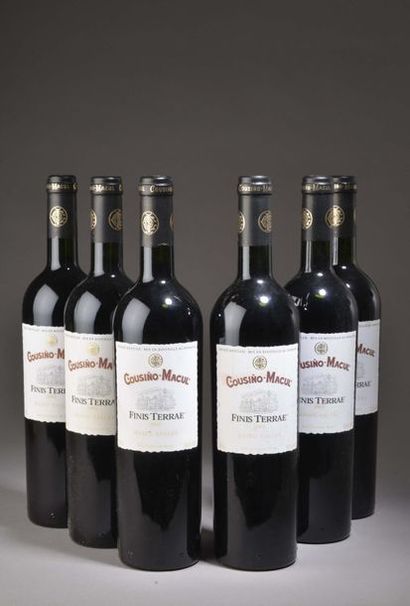 6 bouteilles MAIPO VALLEY 