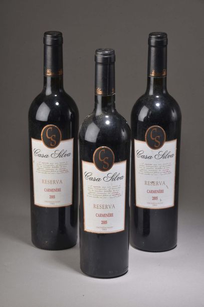 3 bouteilles CARMENÈRE 