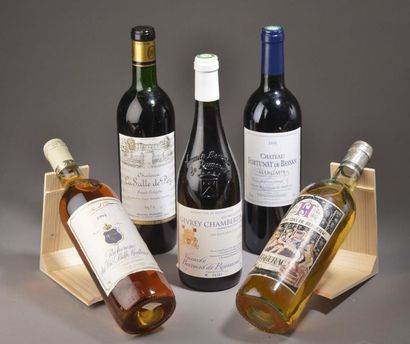5 bouteilles VINS DIVERS (Gevrey 2003, Salle...