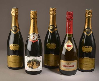 5 bottles CHAMPAGNE vintage (Nicaise, Chatelain,...