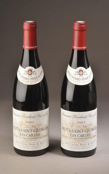 2 bottles NUITS-ST-GEORGES 