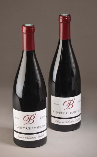 2 bottles GEVREY-CHAMBERTIN AS Bidault 2008...