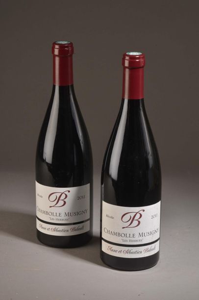 2 bottles CHAMBOLLE-MUSIGNY 