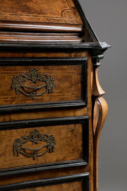 Important two-body scriban in burr walnut...