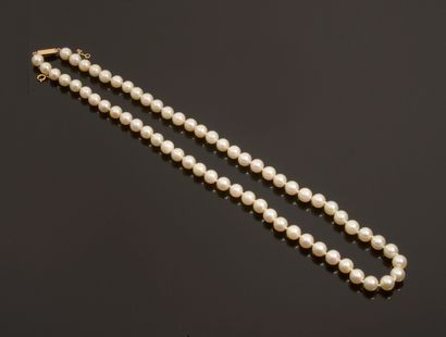 Collier de soixante-quatre perles de culture,...