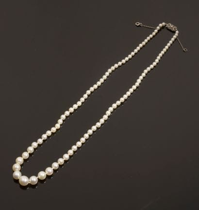 Necklace composed of ninety-two cultured...