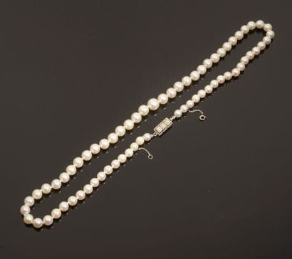 Necklace composed of sixty-seven cultured...