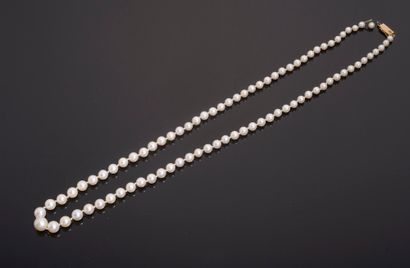 Collier de quatre-vingt-trois perles de culture...