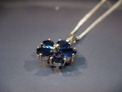 Chaîne en argent maille gourmette et pendentif...