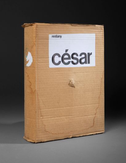 Caesar [BALDACCINI Caesar, said]. Head to...