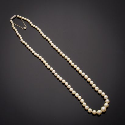 Collier composé d'un rang de quatre-vingt-cinq...