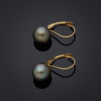 Paire de pendants d'oreille en or jaune 18k,...