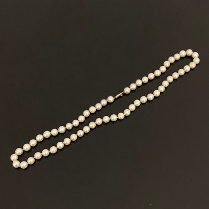 Collier composé d'un rang de perles de culture,...