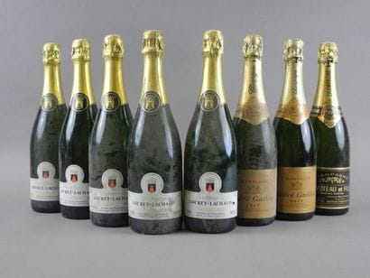 Ensemble de 8 bouteilles de Champagne