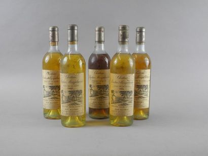 5 bouteilles CH. PONTAC MONPLAISIR, Graves...