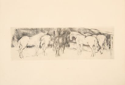 Pierre SAVIGNY DE BELAY (1890-1947). 

The...