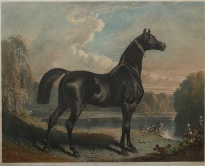 Alfred de DREUX (1810-1860) after.
Ali -...
